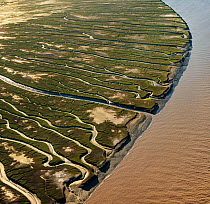 Patterns in the tidal flats of the delta where the delta is swept by tidal encroachment from the Gulf of California. Evidence of the fresh water flow is observable as plant life turns green. Colorado...