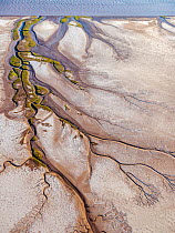 Patterns in the tidal flats of the Colorado River Delta where the delta is swept by tidal encroachment from the Gulf of California. Receding tide causes waterfalls approximately eight feet high, as wa...