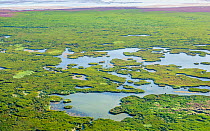 Cienega de Santa Clara / Santa Clara wetlands which are supported by agricultural waste water from the U.S. and Mexico. Colorado River Delta region&#39;s estuary marshes. USA September 2019. Aerial su...