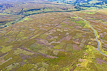 Aerial image showing patchwork pattern where moor has been burnt on rotation for maximising habitat to breed Red Grouse for driven grouse shooting. Grinton Moor above Swaledale, Yorkshire Dales, Engla...