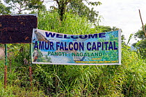 &#39;Welcome to Amur falcon Capital&#39; sign at Doyang Hydroelectric Dam, near to migration hotspot, Nagaland, India. October.