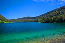 View of a freshwater lake, Beaverhead National Forest, Montana, July 2011.