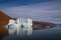 Iceberg in Rode Fjord (Red Fjord), Scoresby Sund, Greenland, August.