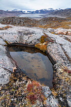 Water-filled pothole and Charcot Glacier in distance, Charcot Havn, Milne Land, Scoresby Sund, Greenland, September.