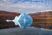Iceberg and reflection, in Rode Fjord (Red Fjord), Scoresby Sund, Greenland, August.