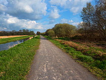 Nature trail and cycle track beside water channel, Shapwick Heath National Nature Reserve, part of the Avalon Marshes, Somerset Levels and Moors, England, UK, April 2019
