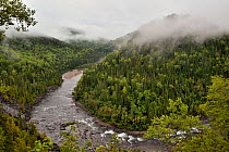 Landscape around the waterfalls of Grand Falls, Gulf of Saint Lawrence Canada.