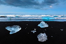 Ice sculptures on black beach. The ice comes from the J�kuls�rl�n Glacier close by. Iceland 2016
