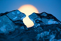 Ice sculpture formed like toads. Full moon in background. Iceland, May.