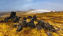 Rainbow over lava field at Snaefellsnes peninsula. Iceland, May.