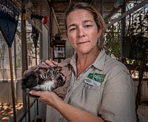 Greater glider (Petauroides volans) female 'Milani' age 7 months, held by her keeper, Alice Roser. This glider is the offspring of two adults 'Ewok' and 'Grevillea' which...