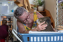 Sue Swain with rescued bush fire victim koala (Phascolarctos cinereus) named 'Sooty'. Sooty was very badly burnt during the Taree bushfires (NSW) in November 2019. His nose, hands, feet and chin were...
