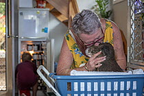 Sue Swain kissing rescued bush fire victim koala (Phascolarctos cinereus) named 'Sooty'. Sooty was very badly burnt during the Taree bushfires (NSW) in November 2019. His nose, hands, feet and chin we...