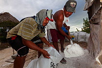 Worker packing salt in traditional salt pan, Ria Celestun Biosphere Reserve, Yucatan Peninsula, Mexico, January 2013