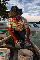 Crab fisherman Celestun with Blue Crab (Callinectes sp.) catch, Ria Celestun Biosphere Reserve, Yucatan Peninsula, Mexico, February