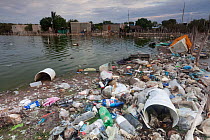 Trash in the coastal lagoon used to construct irregular housing, Ria Celestun, Yucatan Peninsula, Mexico, January