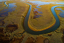 RioTinto tidal area and saltmarshes, with healthy vegetation and red silt containing pyrite (an iron mineral common in sediments). The silt is deposited by constant tidal flooding. This image was take...