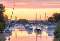 Sunrise over the River Frome at Wareham, Dorset, England, UK