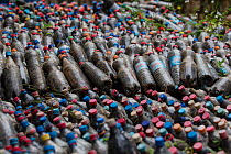 Plastic collection at reforestation project - to be reused for buiding projects. Madagascar Biodiversity Partnership, Kianjavato, Ranomafana, Madagascar.