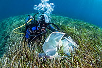A researcher collecting data from the seagrass meadows (Posidonia oceanica), Sigri, Lesvos, North Aegean. The continous monitoring of the ecological status of the seagrass meadows is an inherent part...
