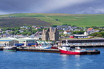 View over Scalloway Castle, museum and fishing boats in the harbour of the village Scalloway on the Mainland, Shetland Islands, Scotland, UK. June 2018
