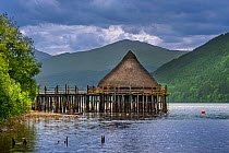 Reconstructed 2500 year old crannog, prehistoric dwelling at the Scottish Crannog Centre on Loch Tay near Kenmore, Perth and Kinross, Scotland, UK. June 2018