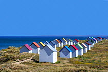 Row of colourful beach cabins in the dunes at Gouville-sur-Mer, Lower Normandy, France. June 2018