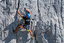 Rock climber climbing rock face in the Gorges du Verdon / Verdon Gorge canyon, Alpes-de-Haute-Provence, Provence-Alpes-Cote d&#39;Azur, France, September 2018