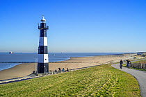 Levee / dyke and Nieuwe Sluis, lighthouse near Breskens which marks the entrance to the Western Scheldt / Westerschelde, Zeeland, the Netherlands, February 2019