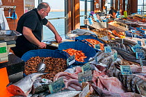 Counter with fresh fish and shrimps on display at covered fish market in the port at seaside resort Port-en-Bessin, Calvados, Normandy, France, 2019
