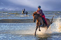Horse rider on horseback galloping through water on the beach along the North Sea coast, Belgium. Digital composite. Model released
