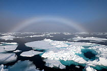 Fogbow over sea ice. Fogbows are similar to a rainbow, but produced by very small droplets in fog or cloud, which diffract light, instead of large raindrops which do not, Svalbard, Norway, July.