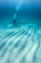 Scuba diver swimming along sand ripples in The Bahamas.