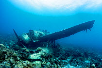 Wreck of the Japanese WWII Aichi E13A-1 seaplane, commonly known as Jake Seaplane planewreck. Palau.