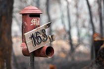 Burnt out letter box on the Great Alpine Road which was burnt during the November / December 2019 fires. Great Alpine Road, Sarsfield, Victoria, Australia January, 2020. Editorial use only.