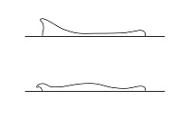 Pygmy sperm whale (Kogia breviceps) (below) & dwarf sperm whale (Kogia sima) (above) Comparison of silhouettes when logging     No more than 15 illustrations by Martin Camm, Rebecca Robinson and/o...