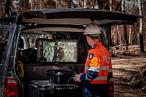 Member of the Victorian Police Remote Piloted Aircraft Systems (Police Air Wing, Specialist Response Division) looking at a screen which is displaying an image sent via a drone of a koala (Phascolarct...