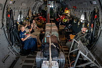 Inside of a Royal Australian Airforce (RAAF) C-27J Spartan that is transporting 6 koalas (Phascolarctos cinereus) that were burnt in the Mallacoota (Victoria, Australia) bushfires and are now being ev...