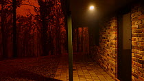 DUPLICATE-BG DELETE-BG  The photographer's house at noon (mid-summer) captured under night time conditions as ash and smoke from the Badja Fire north of the Bega River darkened the sky. A steel buc...