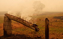 Farmland in the wake of a bushfire near Cobargo, New South Wales, Australia. January 2020.