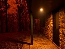 House photographed during a bushfire in Tathra, New South Wales, Australia. The photograph was taken at noon but ash and smoke from the fire darkened the sky and created night time conditions. Badja F...