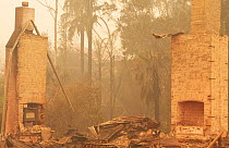 Remains of a building after a bushfire in Cobargo, New South Wales, Australia. January 2020.