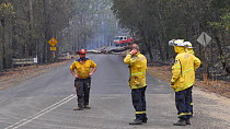 Rural Fire Service volunteers staff a road block, waiting for heavy machinery to help clear the road. The surrounding forest was burned during the December 2019 bushfires.