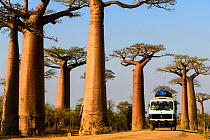 Grandidier&#39;s baobabs (Adansonia grandidieri) local bus driving through the famous Alle de Baobab (UNESCO World Heritage Site), near Morondava, western Madagascar.