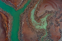 Coloured water leaking from photogypsum storage pond creates tidal channels in saltmarsh habitat. Huelva, Southern Spain. Phosphogypsum is a radioactive by-product in the manufacture of phosphoric aci...