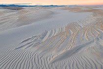 Patterns formed by winds from different directions. White Sands National Monument, New Mexico, USA. December.
