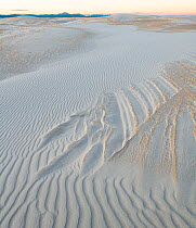 Patterns in sand formed by winds from different directions. White Sands National Monument, New Mexico, USA. December.
