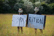 Two people wearing wolf masks holding up a sign "Disappearance" to highlight the loss of biodiversity, Envies Rhnements, Camargue, France. June 2018.