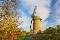 Bidston Windmill, built as a flour mill in 1800, Bidston Hill, Birkenhead, Wirral, England, UK. January 2016.