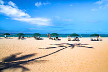 Umbrellas, tourists and the shadow of a palm tree on Waikiki beach, Oahu, Hawaii.